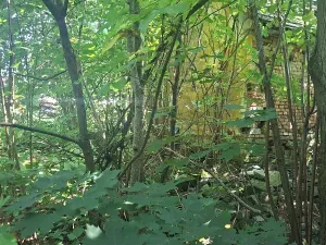 Prodej rodinného domu, Kozlovice, 75 m2