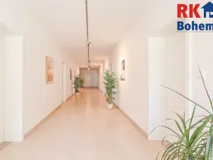 Prodej rodinného domu, Šestajovice, U Pole, 266 m2