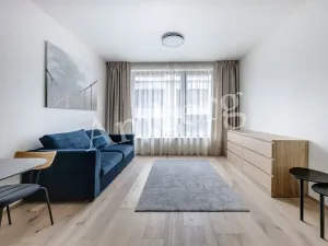Pronájem bytu 1+kk, Praha - Karlín, Sokolovská, 28 m2
