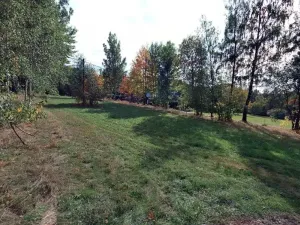 Prodej louky, Jablonec nad Jizerou, 886 m2