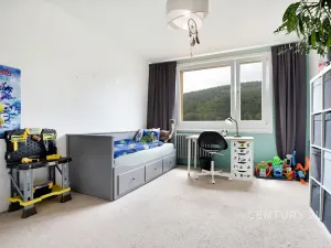 Prodej bytu 3+1, Děčín, Na Pěšině, 81 m2