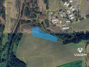 Prodej podílu pole, Těchonín, 4421 m2