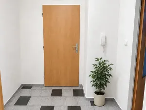 Pronájem bytu 1+kk, Brno, Bayerova, 30 m2