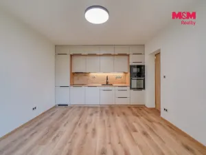 Prodej bytu 3+kk, Plzeň - Lobzy, Partyzánská, 60 m2
