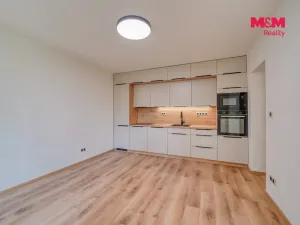 Prodej bytu 3+kk, Plzeň - Lobzy, Partyzánská, 60 m2