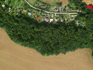 Prodej lesa, Libochovice - Poplze, 49399 m2