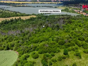 Prodej lesa, Libochovice - Poplze, 49399 m2