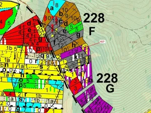Dražba lesa, Rabí, 4280 m2