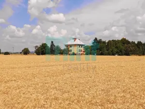 Prodej domu na klíč, Uničov, 101 m2