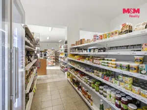 Prodej rodinného domu, Lužná, Čsl. armády, 280 m2