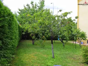 Prodej vily, Praha - Suchdol, 243 m2