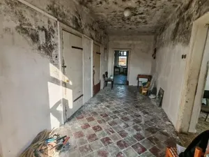 Prodej chalupy, Zaječice, 299 m2