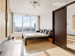 Pronájem bytu 3+kk, České Budějovice, Staroměstská, 99 m2