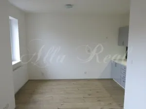 Pronájem bytu 1+kk, Ráječko, Sokolská, 32 m2