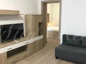Pronájem bytu 2+kk, Brno - Zábrdovice, Francouzská, 40 m2