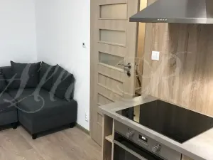 Pronájem bytu 2+kk, Brno - Zábrdovice, Francouzská, 40 m2