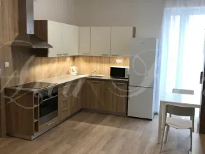 Pronájem bytu 2+kk, Brno - Zábrdovice, Francouzská, 40 m2