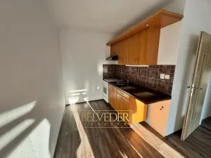 Pronájem bytu 2+kk, Teplice, Rooseveltovo náměstí, 40 m2