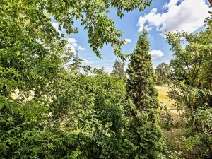 Prodej rodinného domu, Zvole, Přední, 230 m2