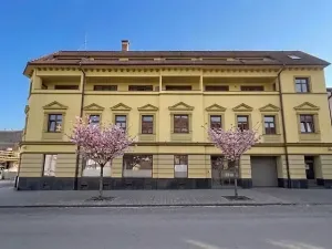 Prodej bytu 2+kk, Brno, Vranovská, 79 m2