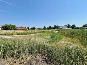 Prodej pozemku pro bydlení, Dašice, Jungmannova, 1000 m2