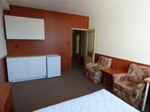 Pronájem bytu 1+kk, Brno, Heršpická, 23 m2