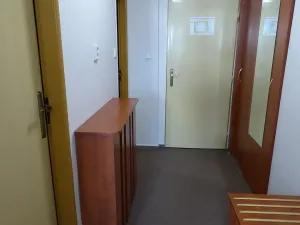 Pronájem bytu 1+kk, Brno, Heršpická, 23 m2