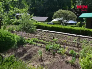 Prodej chalupy, Olešnice v Orlických horách, 72 m2