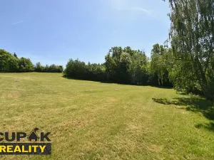 Prodej rodinného domu, Kunvald, 250 m2