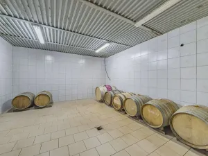 Prodej zemědělského objektu, Velké Pavlovice, Trávníky, 400 m2