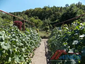 Prodej chaty, Slaný, Štechova, 20 m2