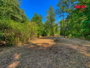 Prodej zahrady, Velký Bor - Slivonice, 2248 m2