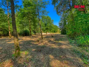 Prodej zahrady, Velký Bor - Slivonice, 2248 m2