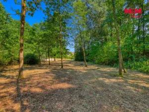 Prodej zahrady, Velký Bor - Slivonice, 2248 m2