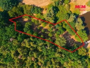 Prodej zahrady, Velký Bor - Slivonice, 2248 m2