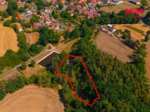 Prodej zahrady, Velký Bor - Slivonice, 2248 m2