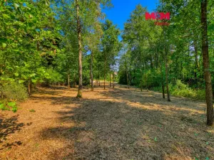 Prodej zahrady, Velký Bor - Slivonice, 2248 m2