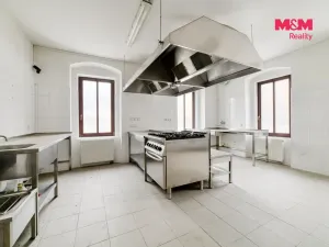Prodej rodinného domu, Stráž nad Ohří - Boč, 500 m2