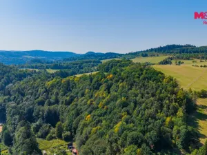 Prodej chaty, Český Krumlov - Latrán, Chvalšinská, 79 m2