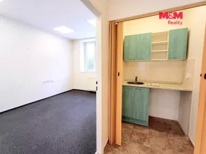 Pronájem obchodního prostoru, Ostrava - Mariánské Hory, 28. října, 40 m2
