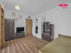 Prodej bytu 1+kk, Hradec Králové - Slezské Předměstí, Gagarinova, 31 m2