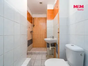 Prodej bytu 2+kk, Milovice, Mírová, 42 m2