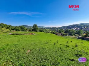 Prodej louky, Starý Šachov, 89774 m2