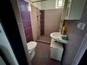 Prodej rodinného domu, Nučice, Tyršova, 250 m2
