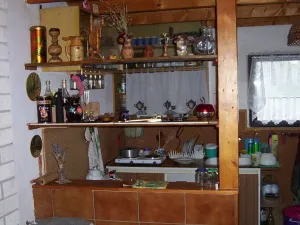 Prodej chaty, Nýřany - Doubrava, 26 m2