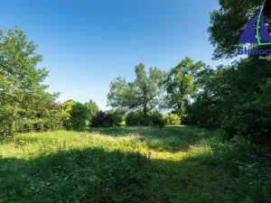 Prodej rodinného domu, Krupá, 285 m2
