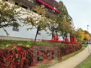 Pronájem bytu 4+kk, Praha - Vokovice, Irská, 153 m2