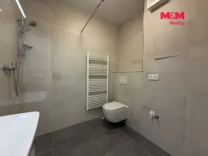 Pronájem bytu 1+kk, Předklášteří, Palackého, 27 m2