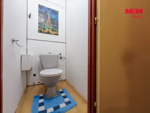 Pronájem bytu 3+1, Sokolov, Sportovní, 74 m2