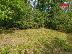 Prodej zahrady, Děčín, Mendelova, 793 m2